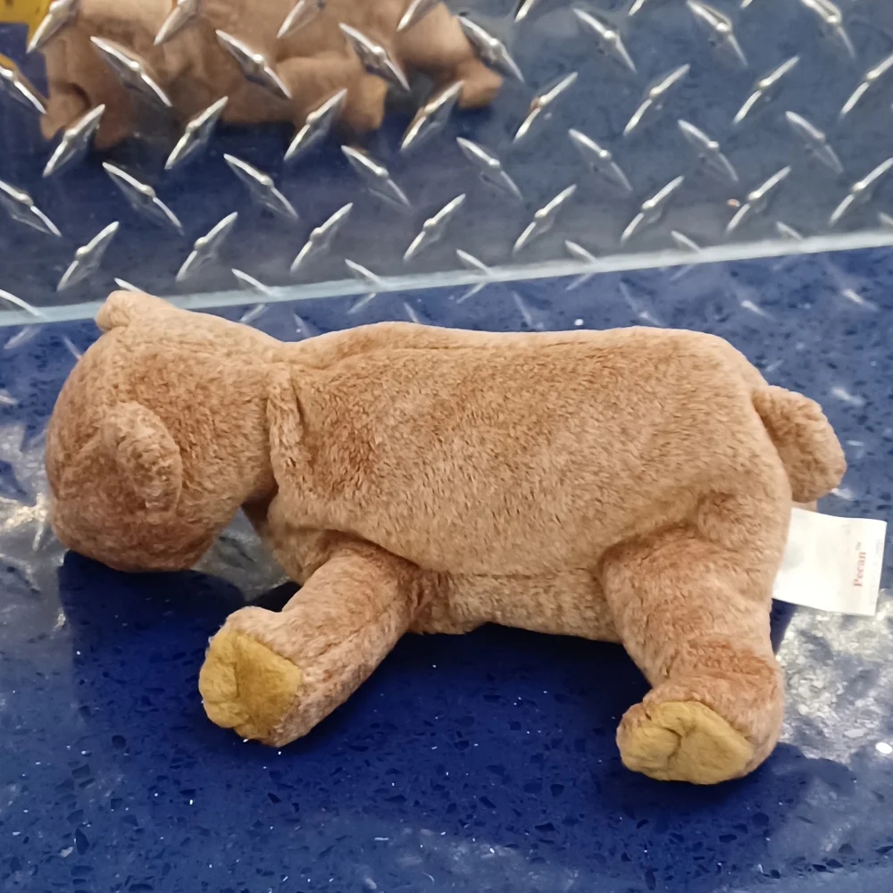 -Ty Beanie Baby - PECAN THE BEAR Beanbag Sitting Plush [Toy] - Picture 2 of 7